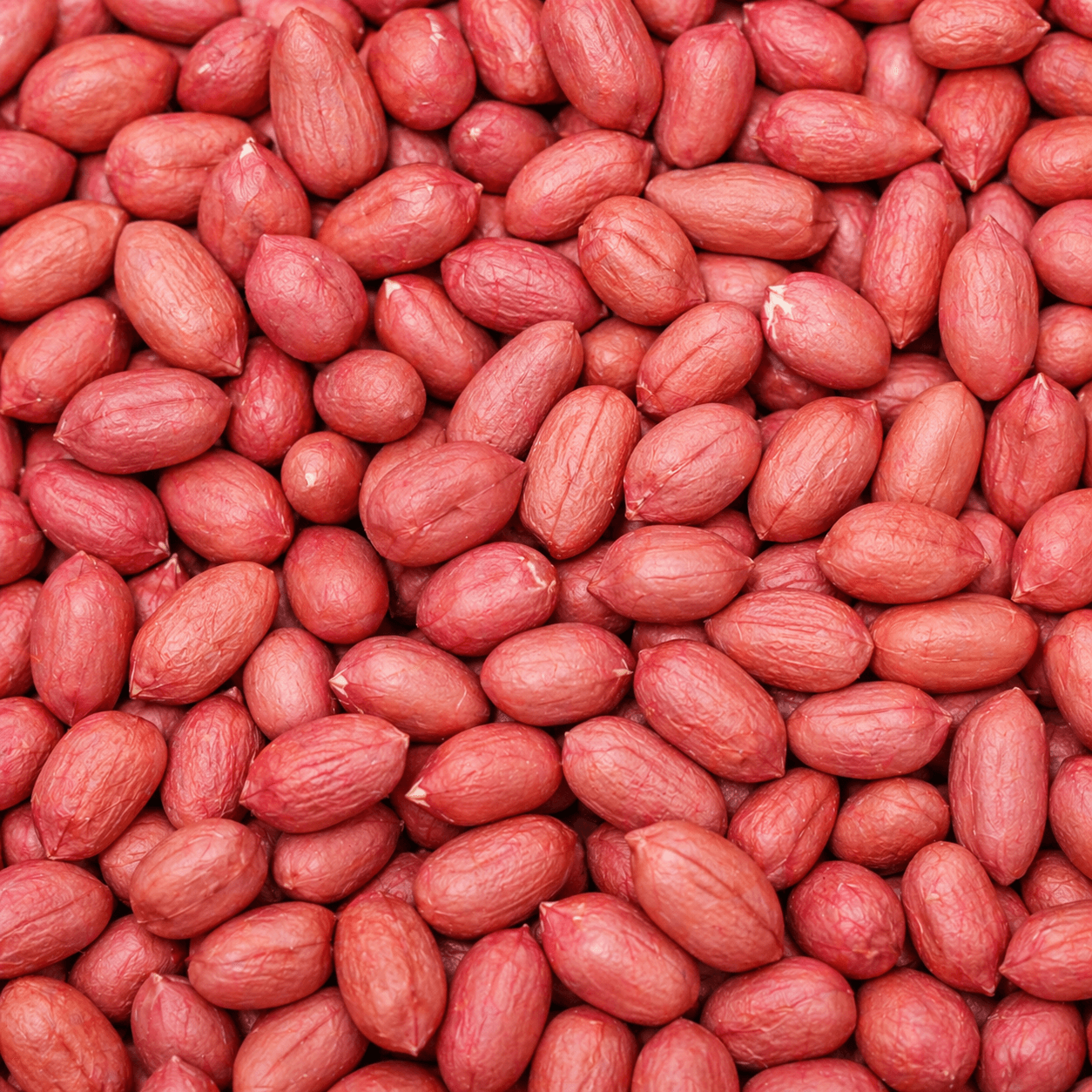 Java Groundnuts
