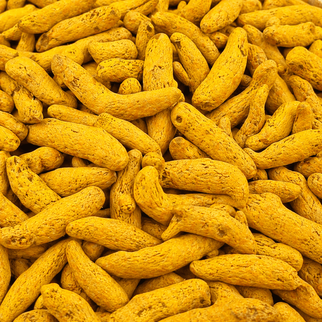 Turmeric Fingers (Whole)