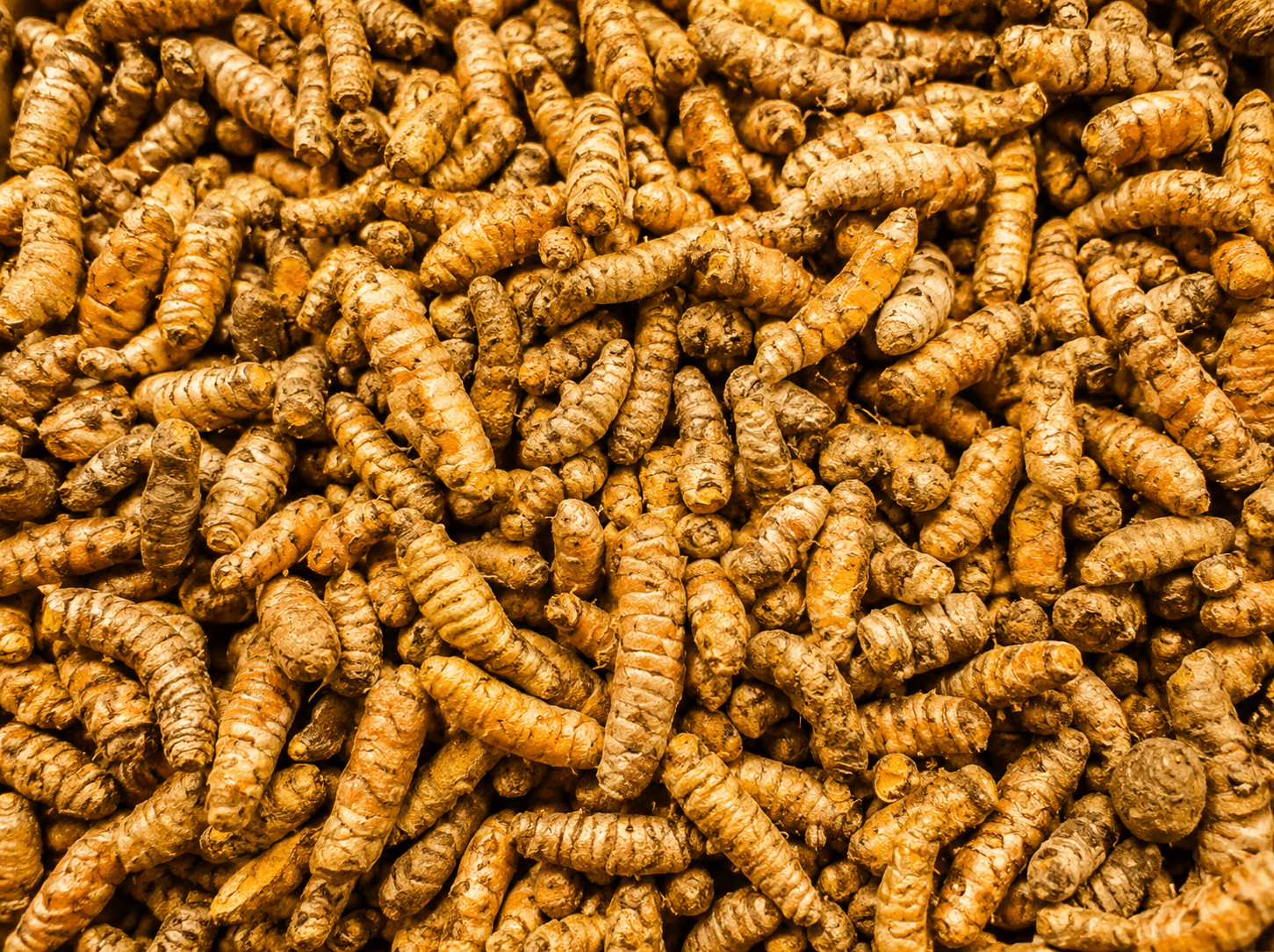 Turmeric Exporter in India | Premium Turmeric Powder Supplier for UAE & Gulf Countries